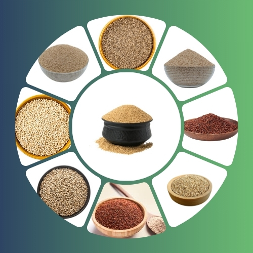 Paribhasha%20Exports